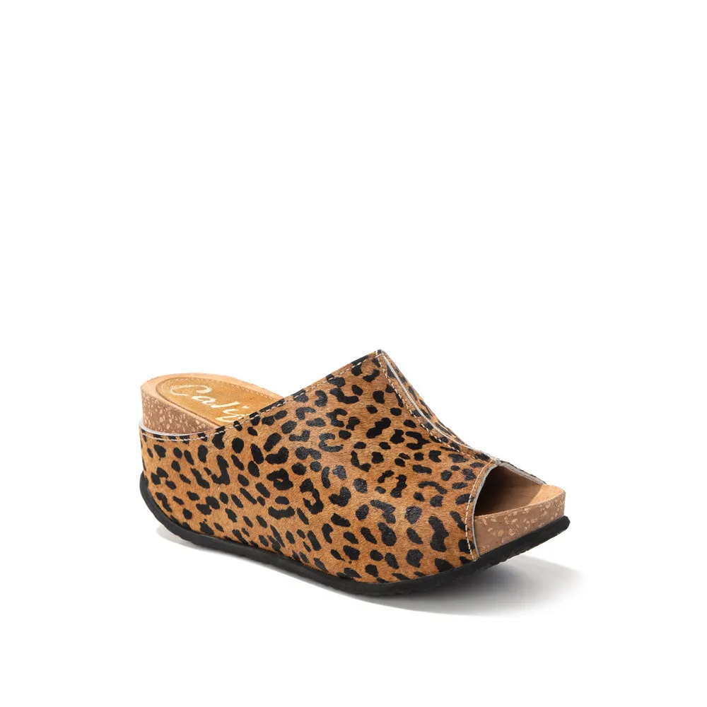 Cecilia | Tiger