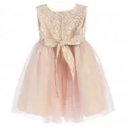 Infant Tulle and Brocade Dress
